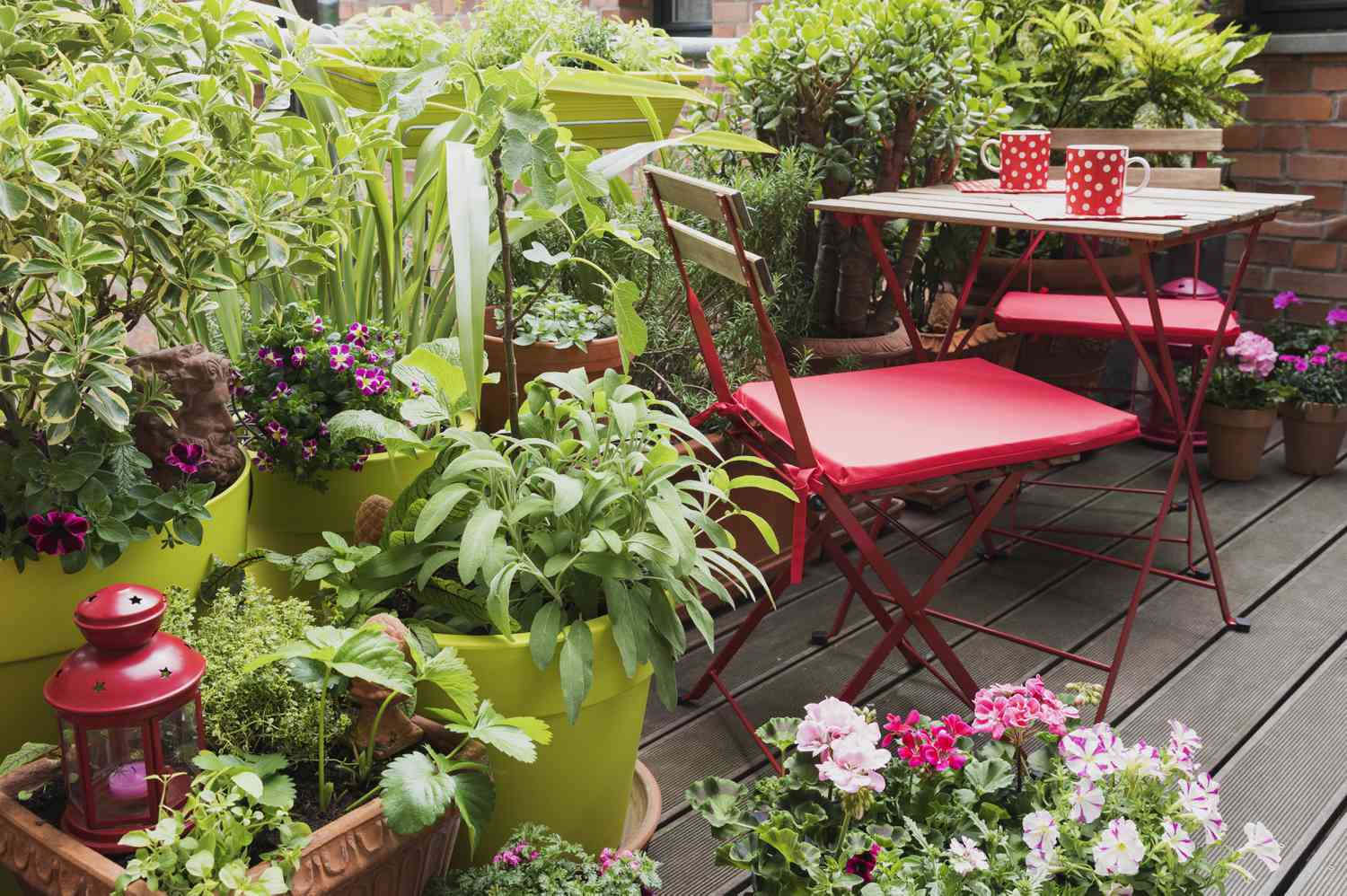 16 Great Low-Maintenance Outdoor Potted Plants