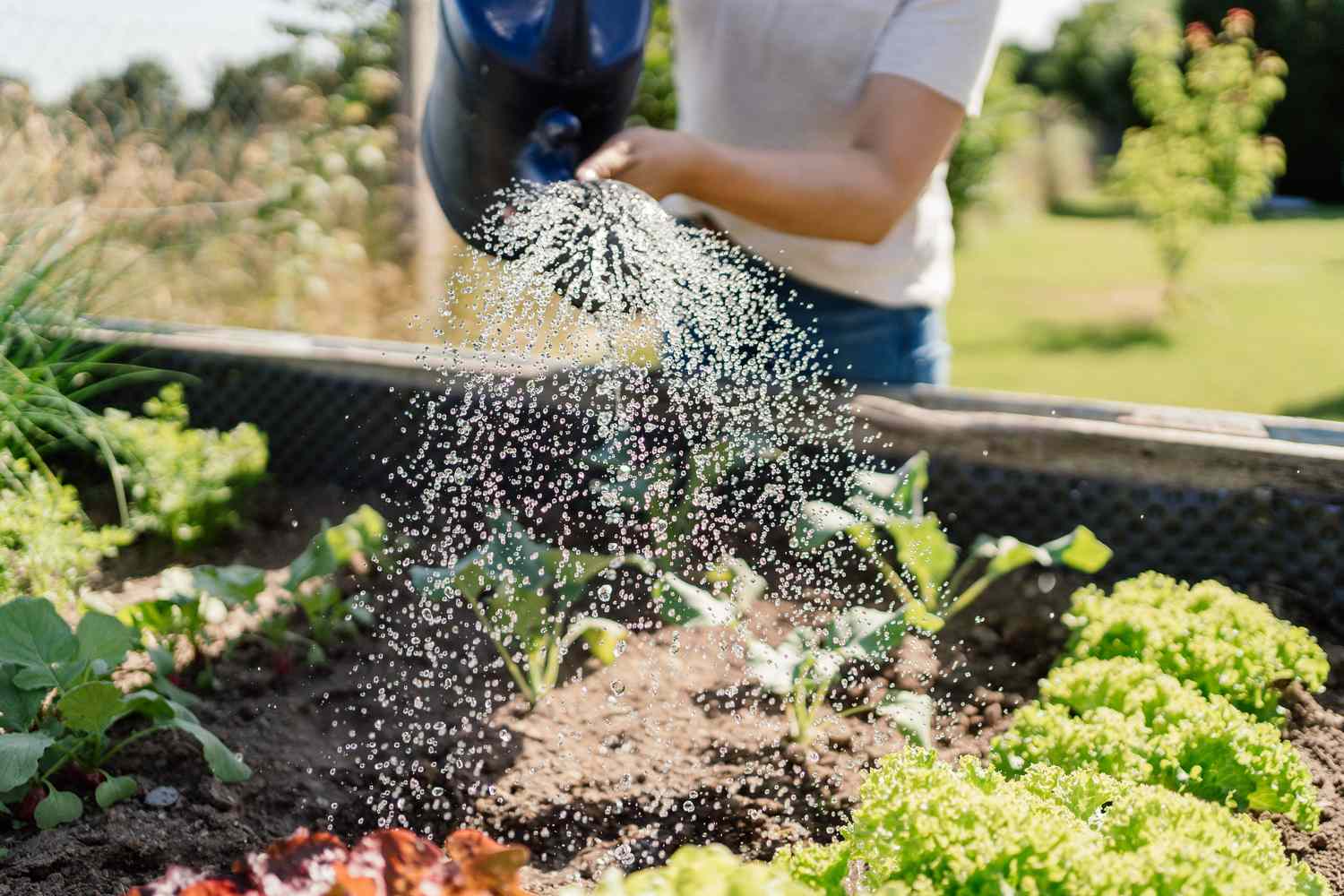 What an Hour of Gardening Does to Your Body