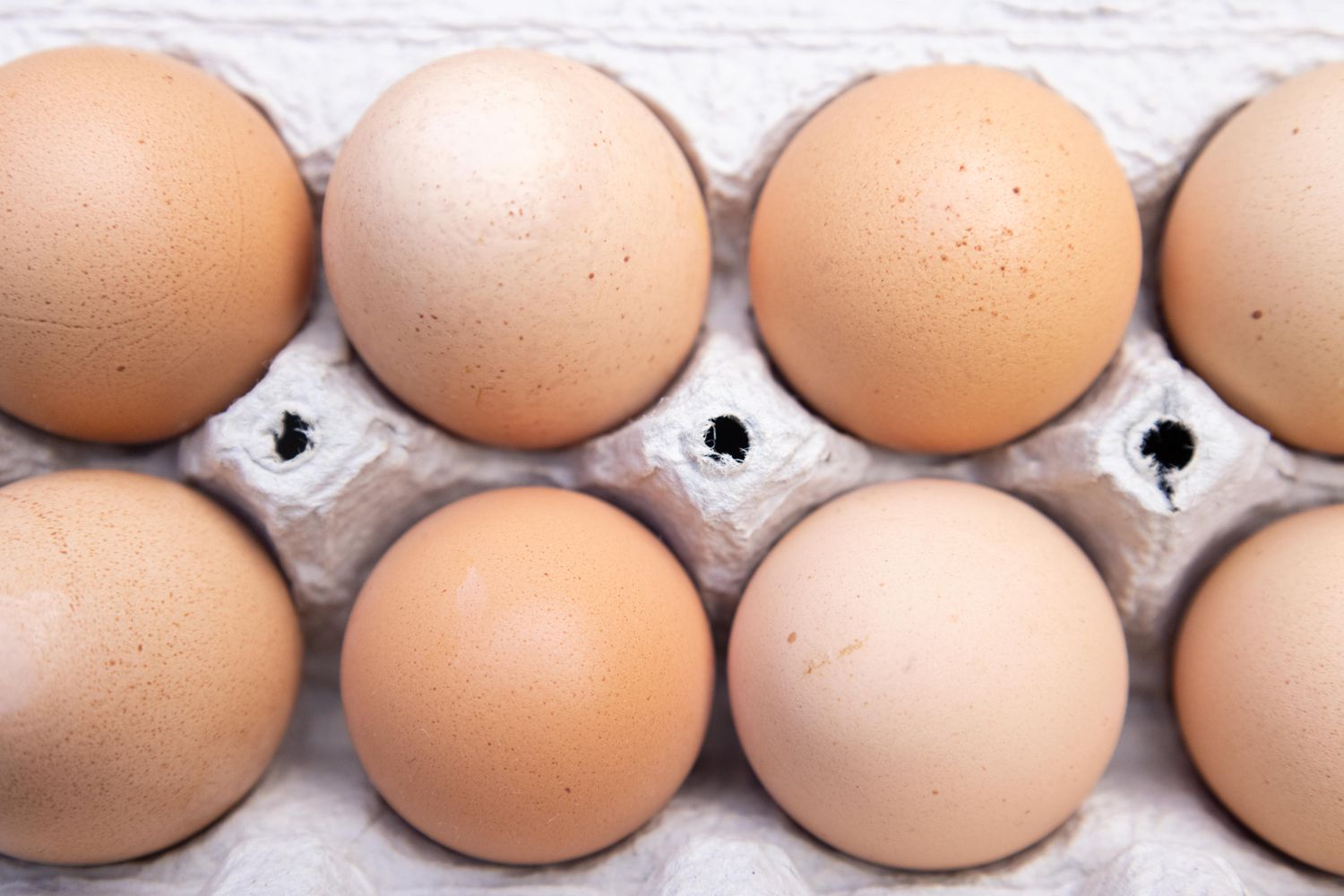 How to Start an Egg Business