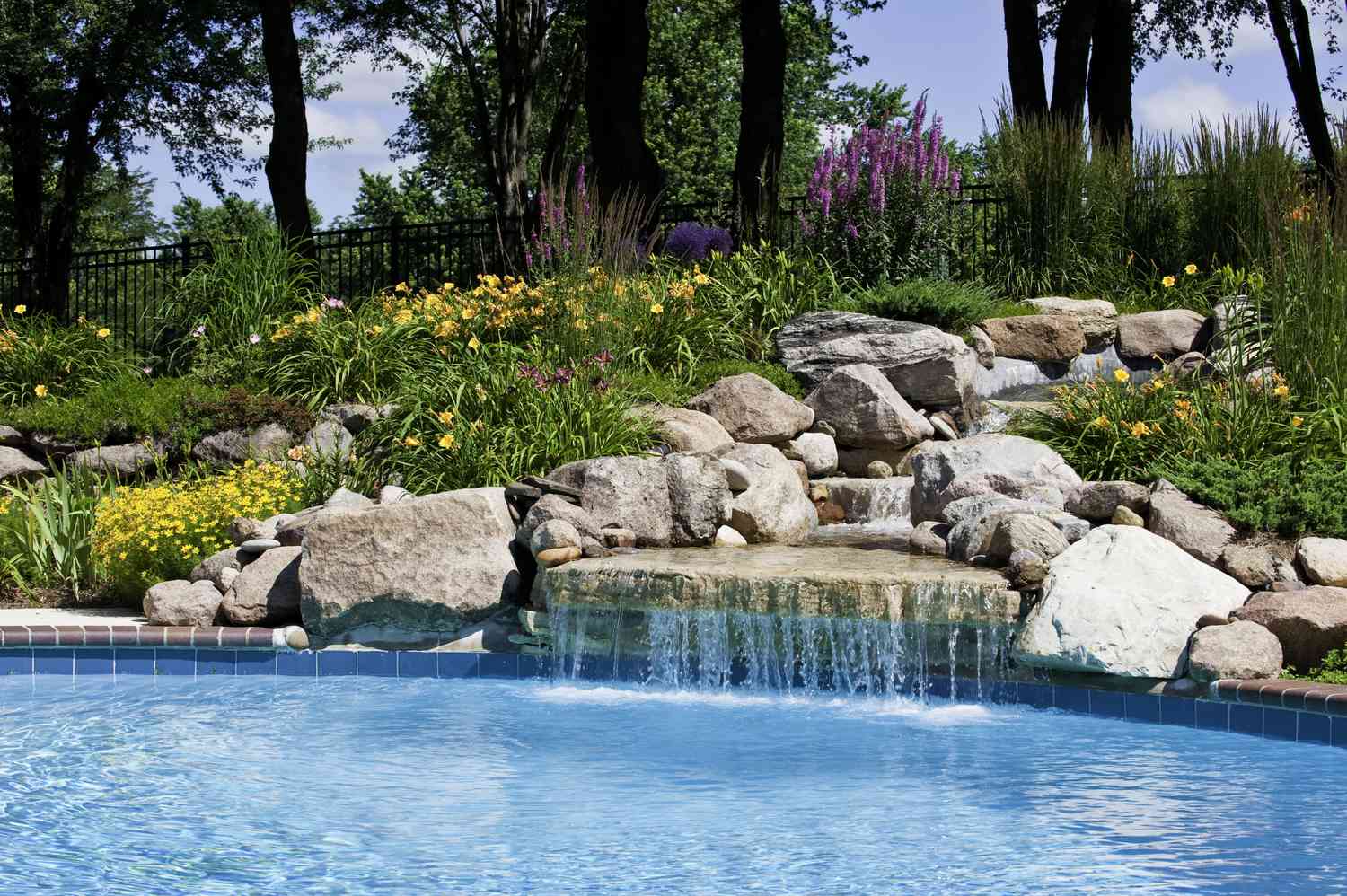 17 Plants That Work Perfectly Around the Pool